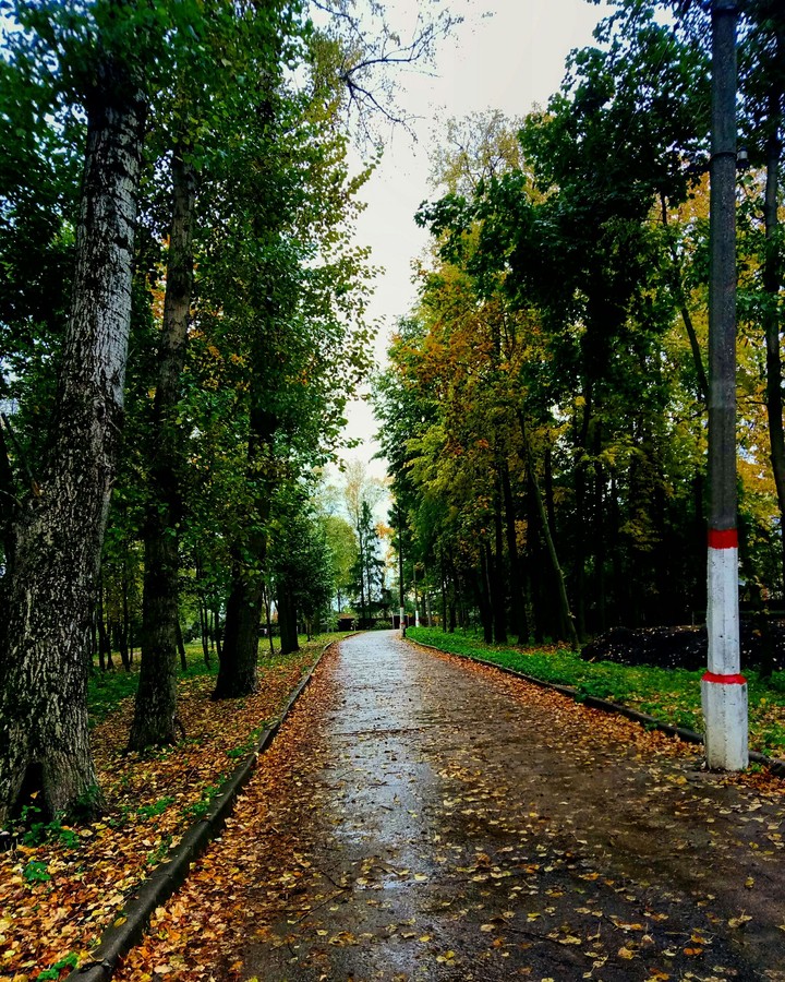 Autumn