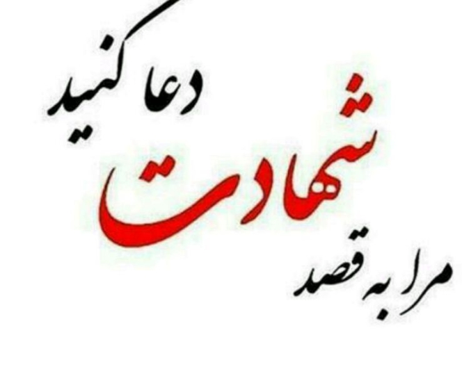 دعایم کنید راه بی بی زینب شهید بشم ...