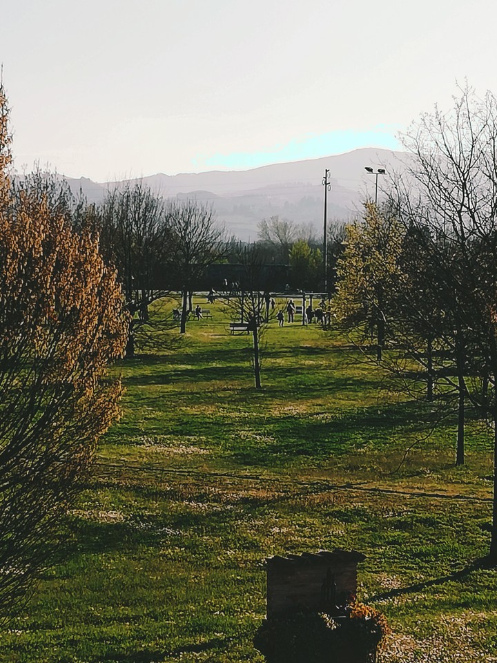 spring
