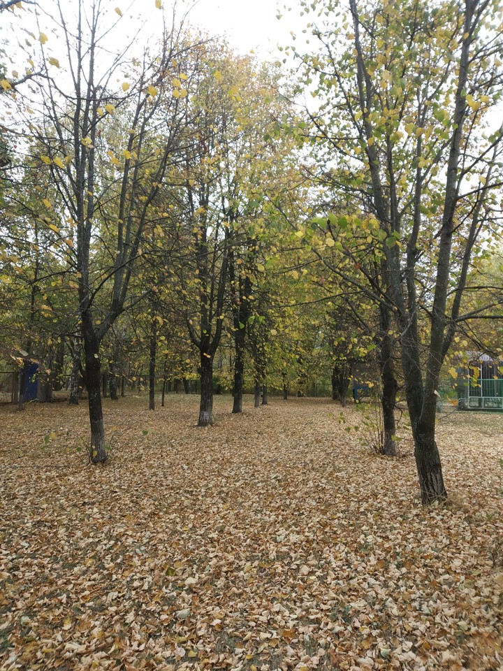 Осенью природа
