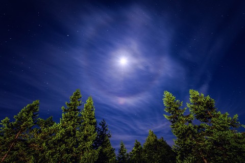 Moon Light Star