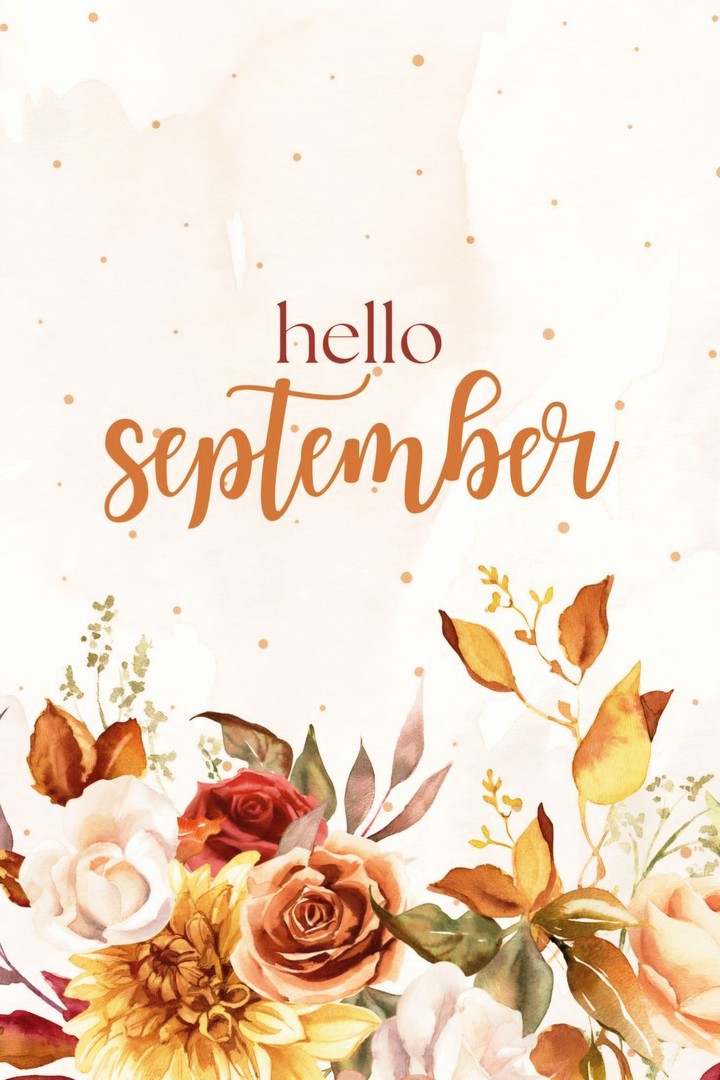 °• Hello September •°