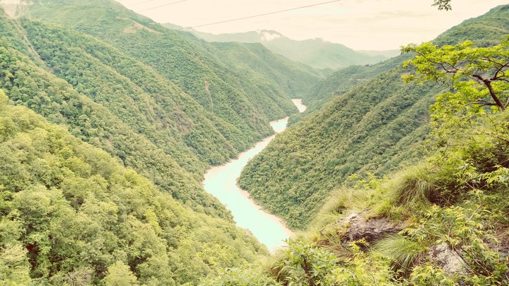 Ganga beauty