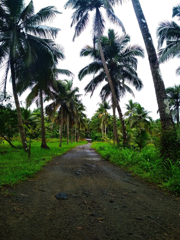 kerala