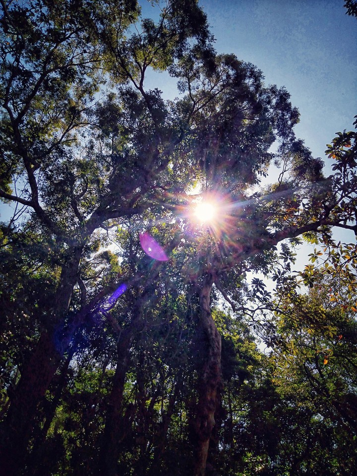 when the camera kisses the sun!!!