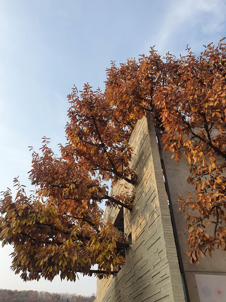 Fall