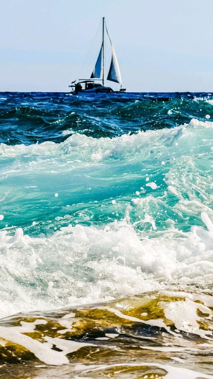 Ocean