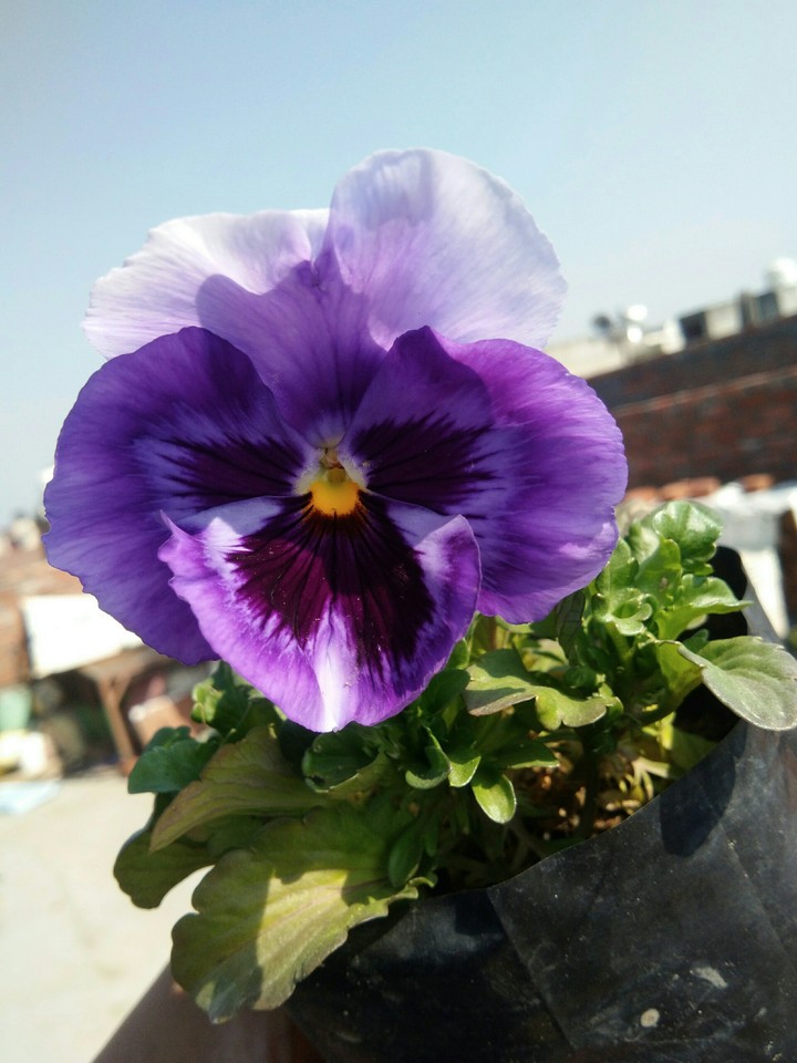 # I click