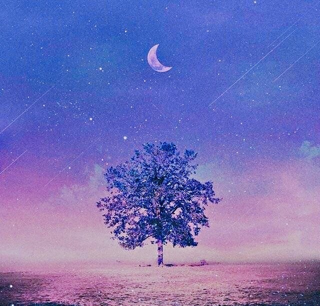 SK～ Moon