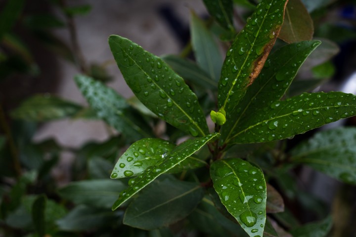4k HDR