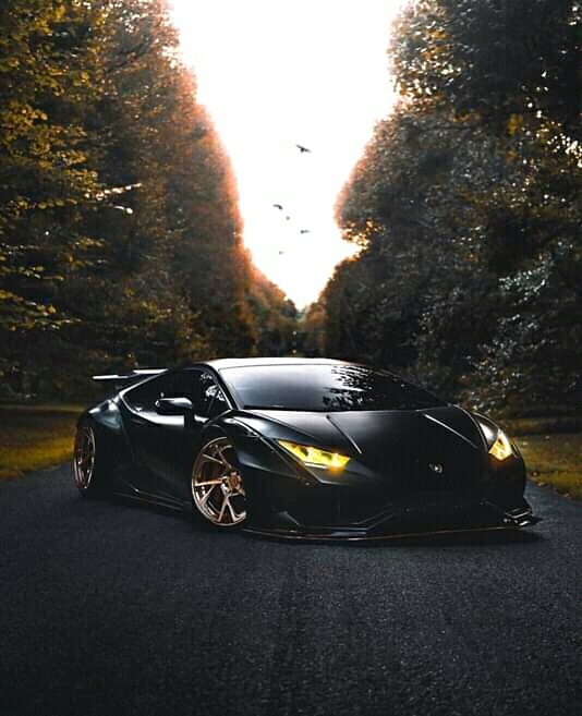 Lamborghini lovers