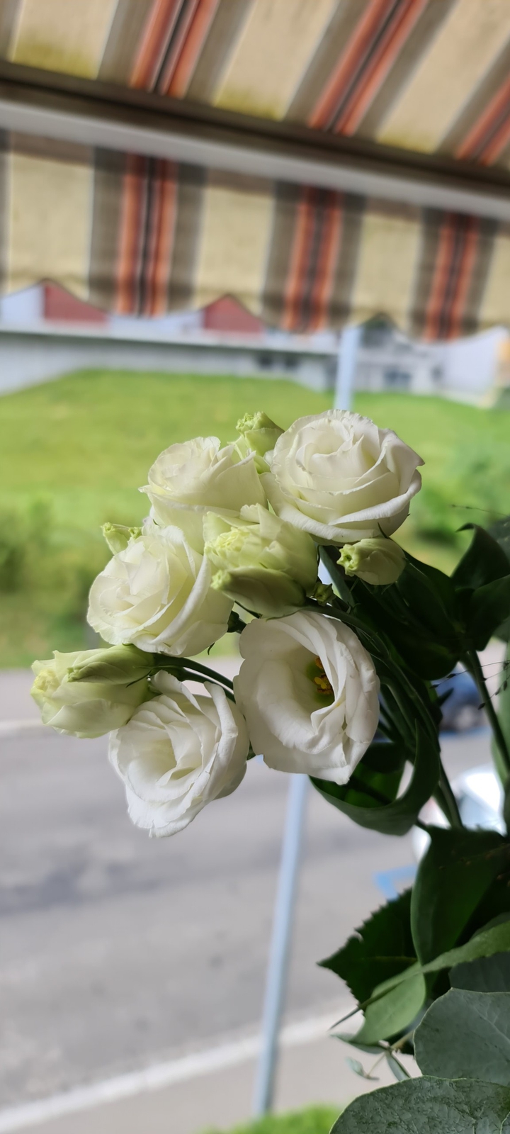 Blumen