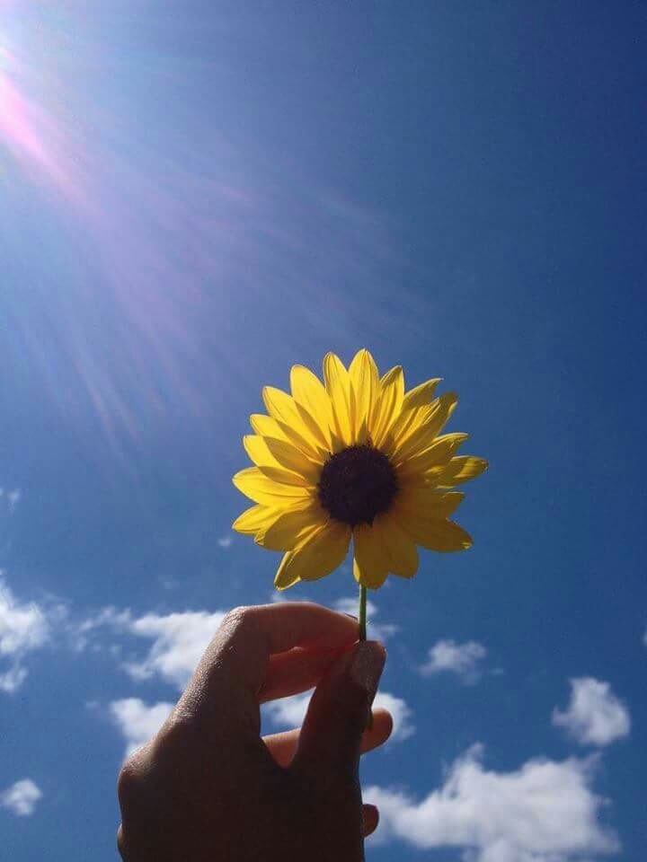 ❤