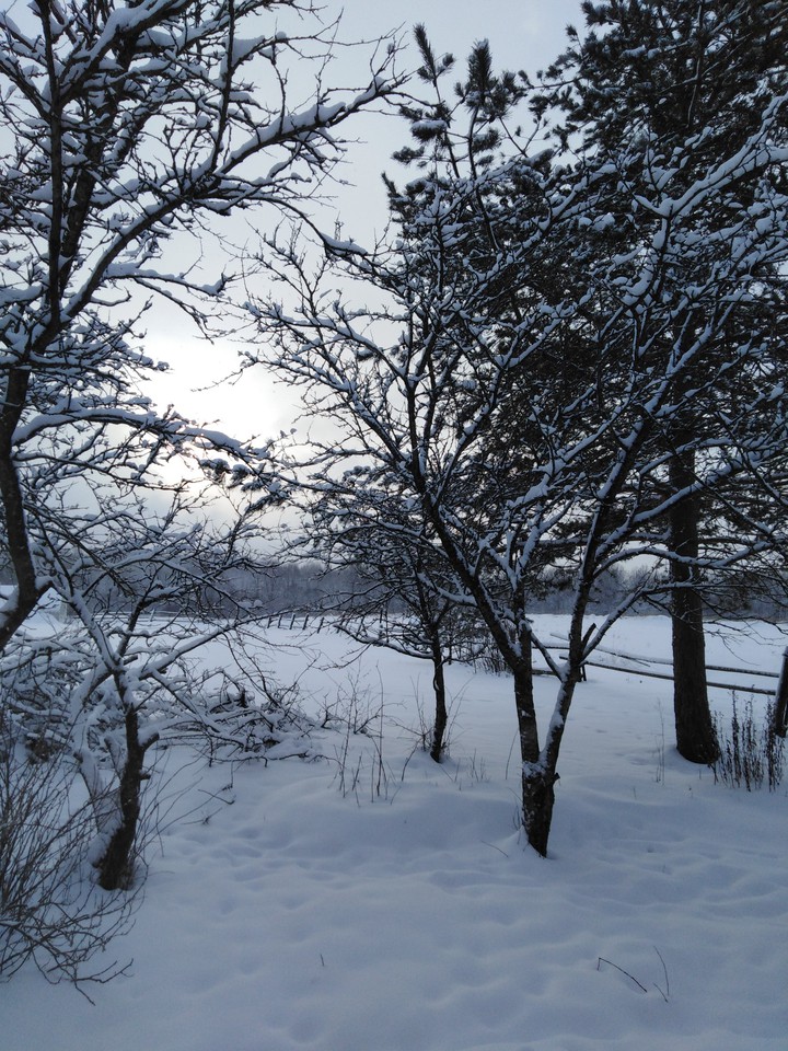 snow