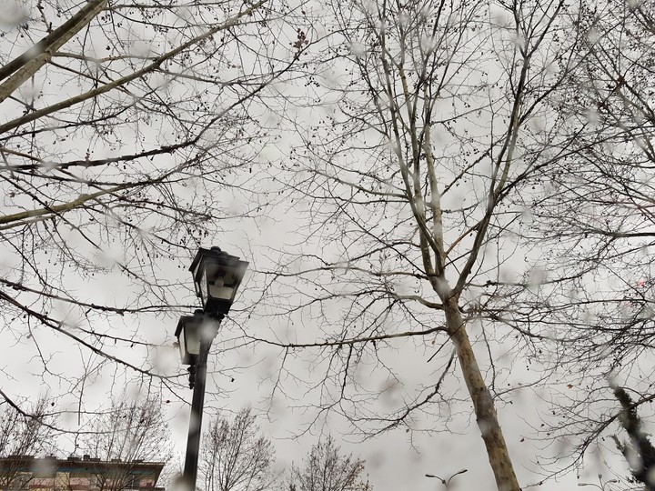 tirane