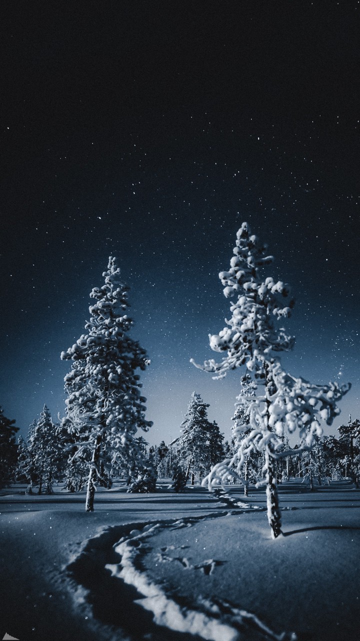 a snowy night