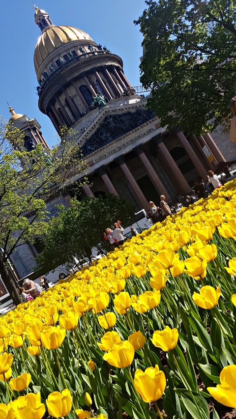 Saint Isaac Cathedral