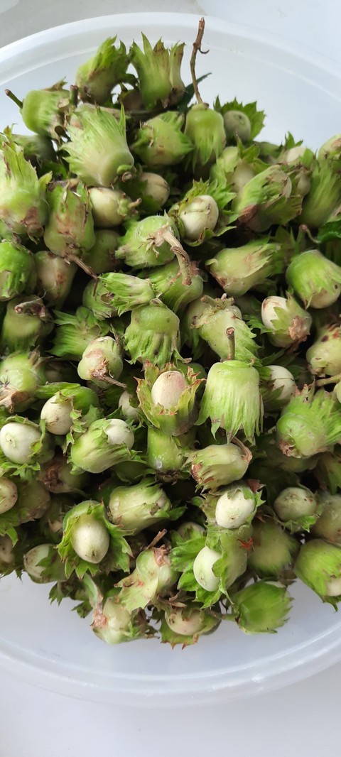 обои Ingredient, food