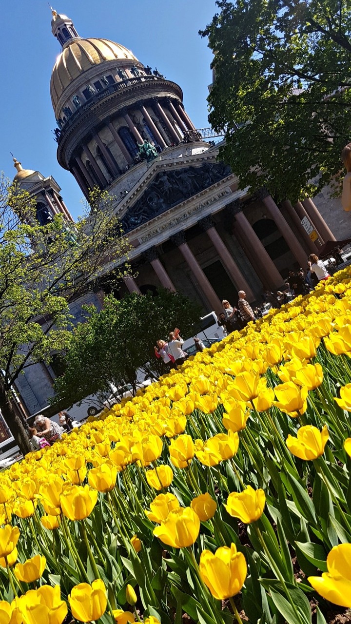 Saint Isaac Cathedral