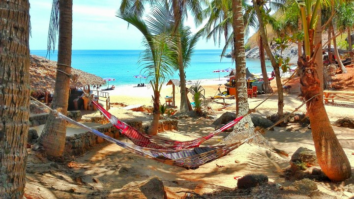 hammock
