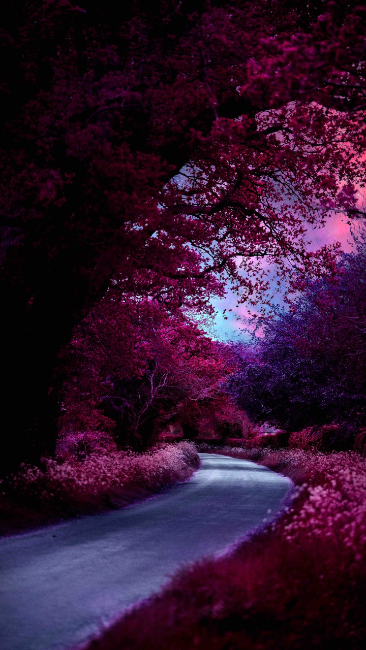 love nature