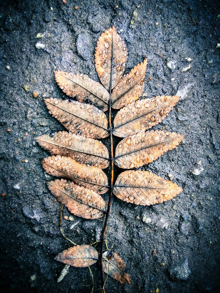 October.