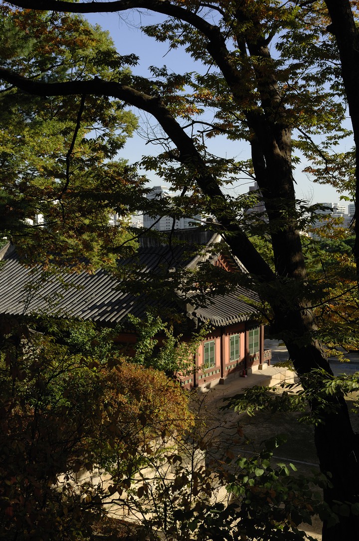 Asia