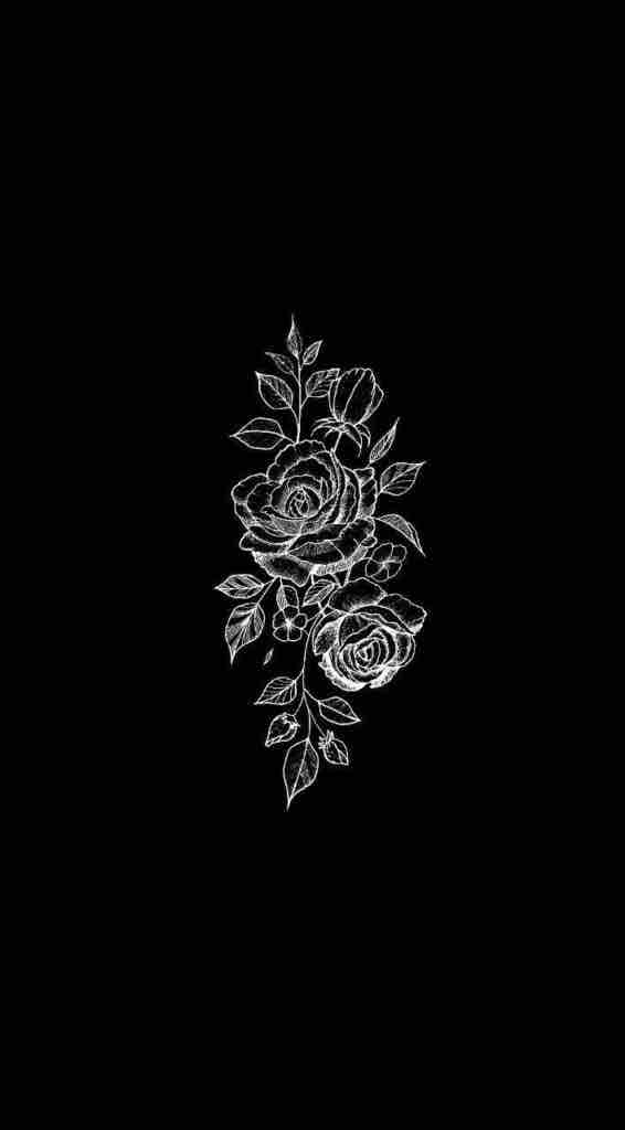 black backgrounds