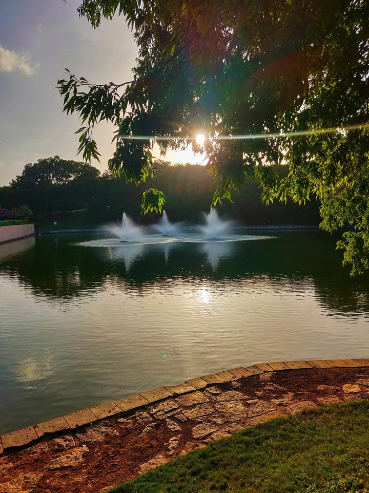 Duck Pond