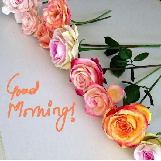 #good morning