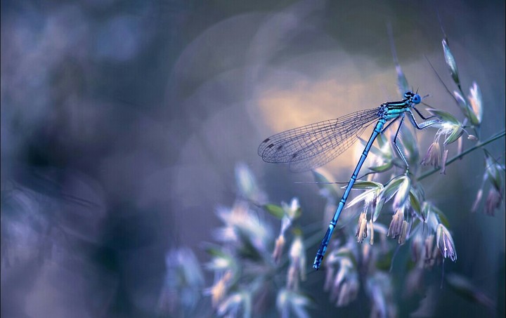 Beauty of Nature.