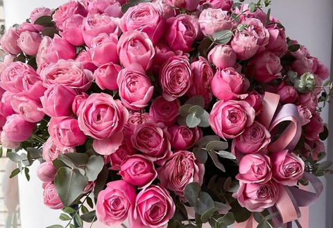 Roses