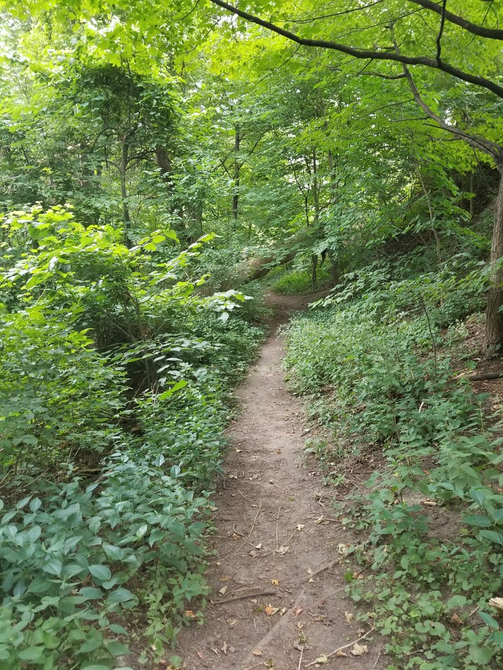 nature