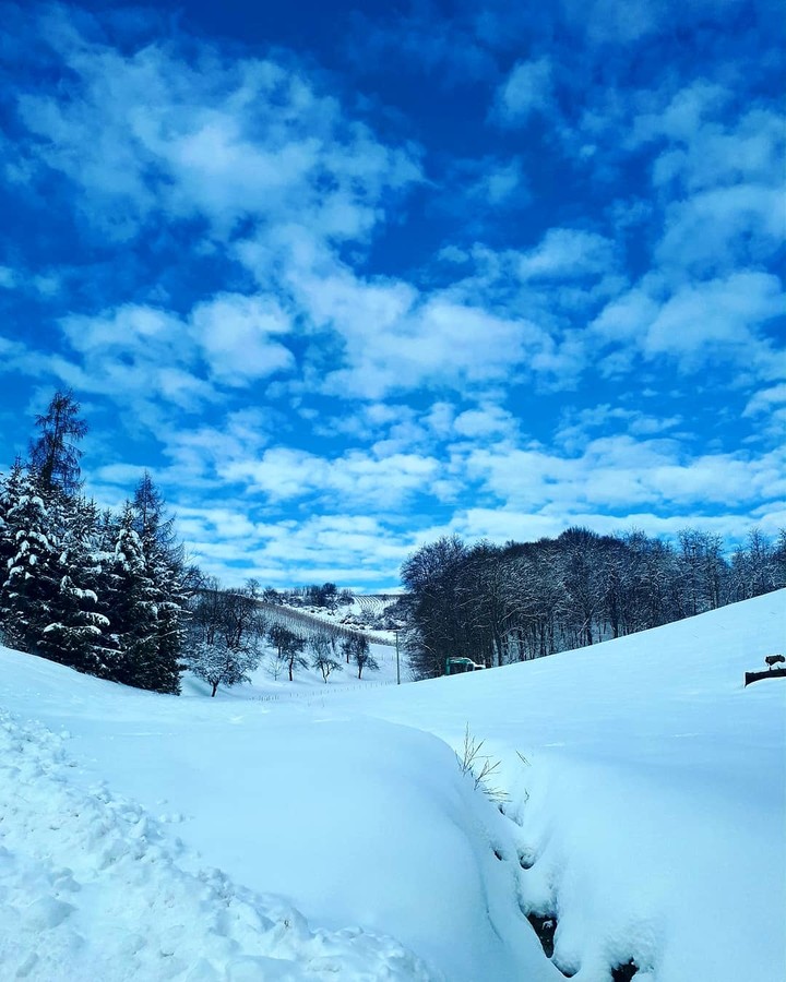 spring were are you?