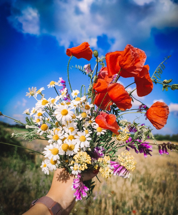 beautiful flowers
