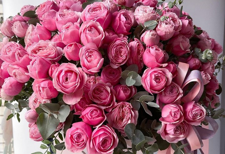 Roses