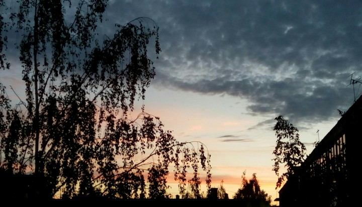 evening