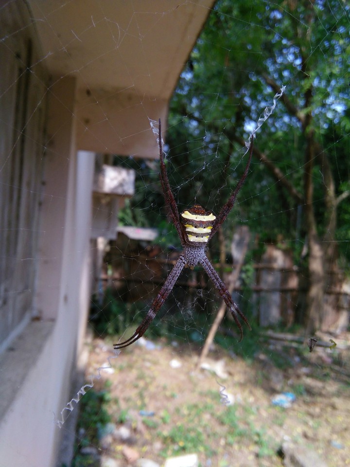 My Own Click