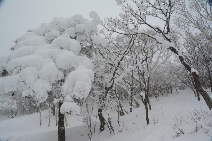 태백산이미지