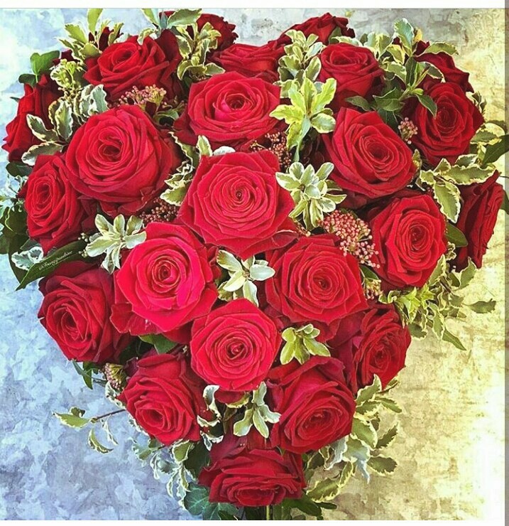 rose