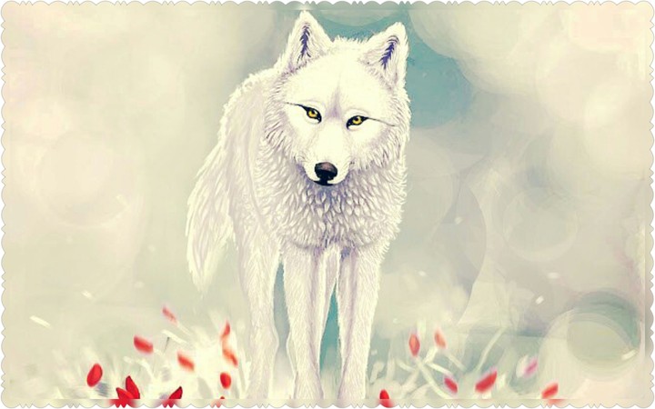 Lobo blanco