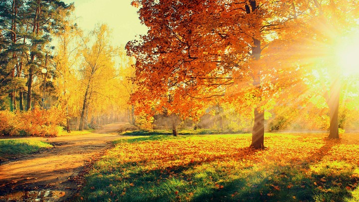 Sunlight