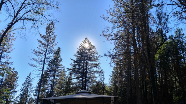 Sun between two trees