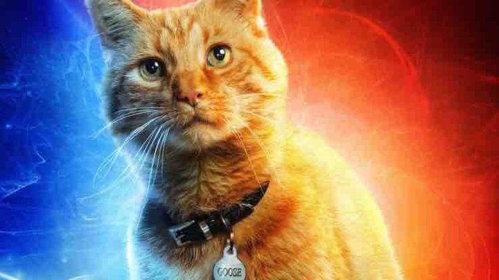 captain marvel