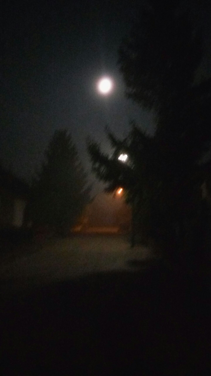 Moon