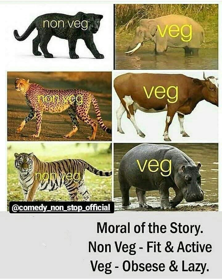 non veg vs veg