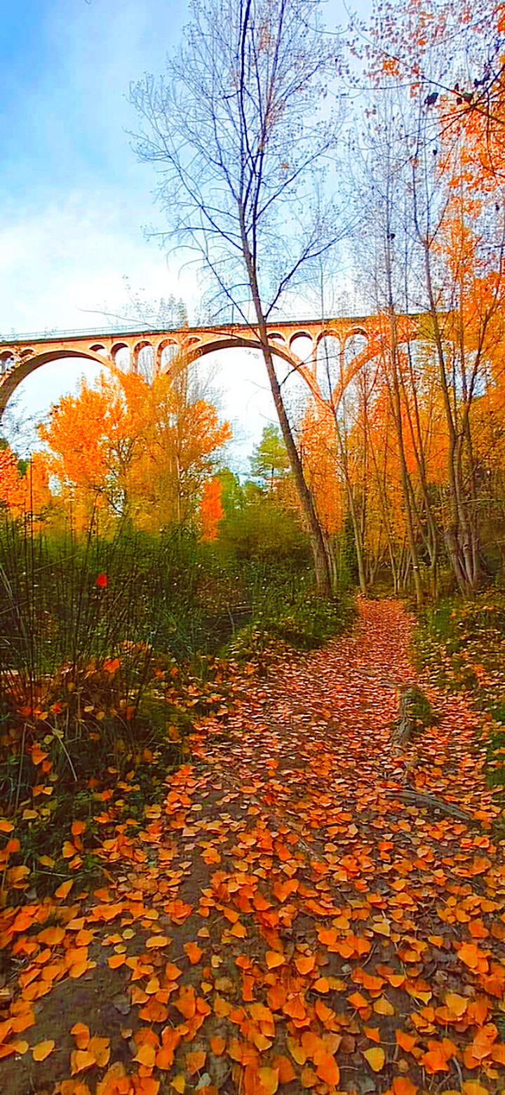 Autum