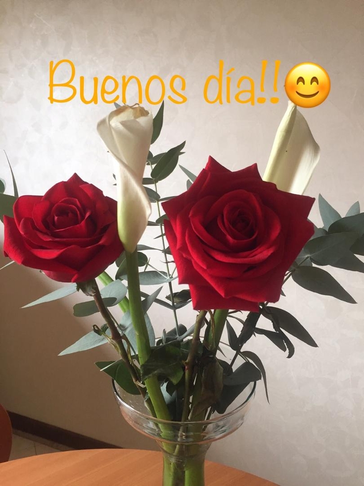 Flores?