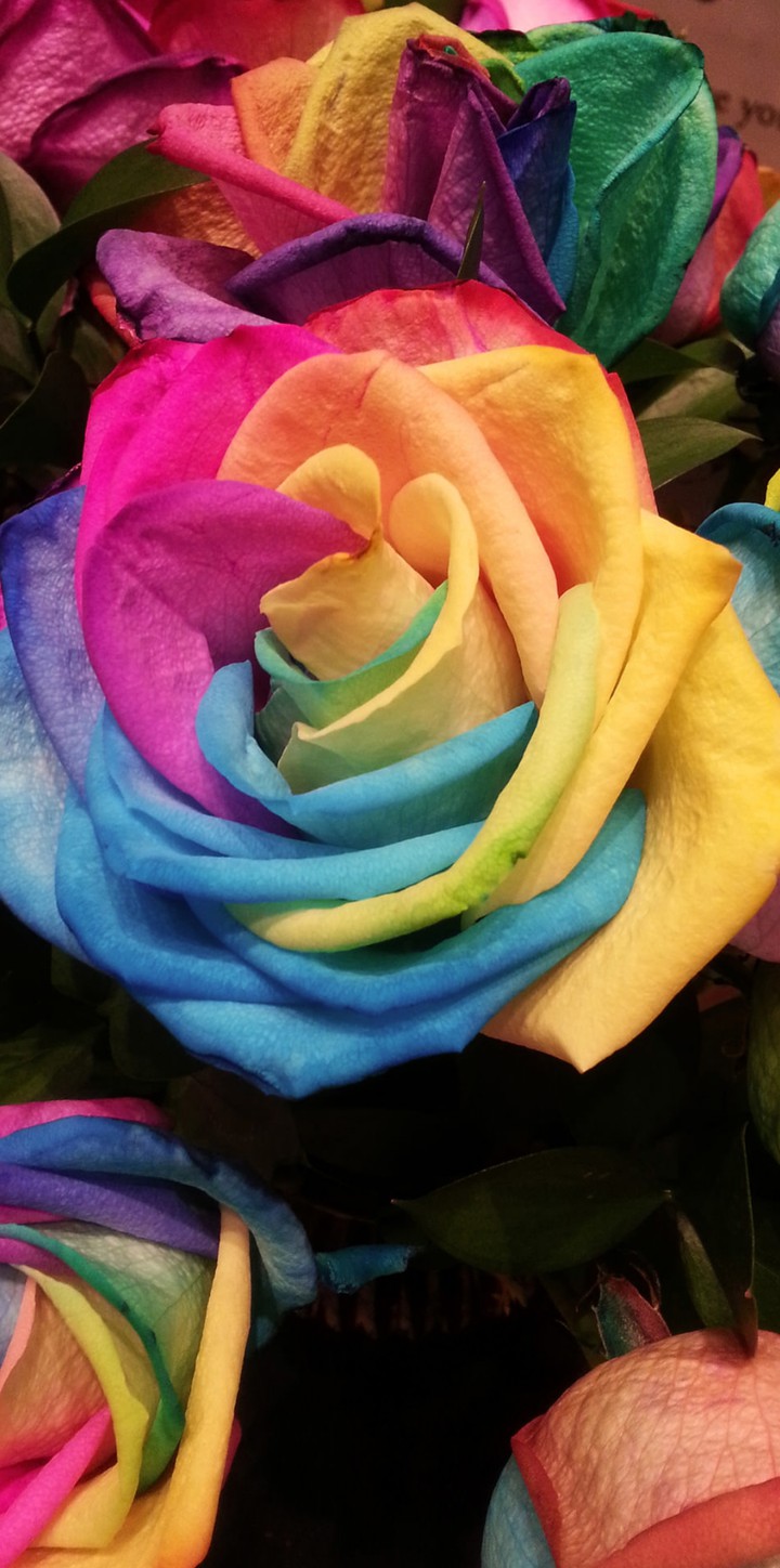 ♥