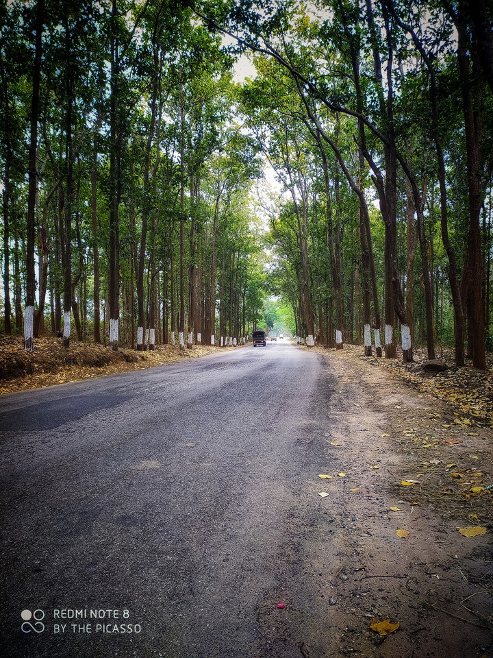 A Never Ending Path ?